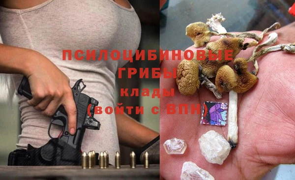 стафф Алексеевка