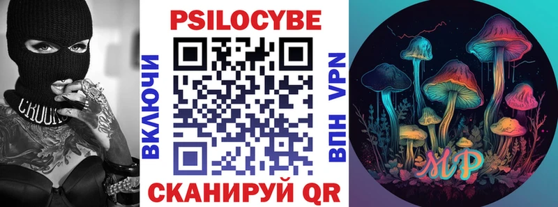 закладка  Любань  Псилоцибиновые грибы Cubensis 